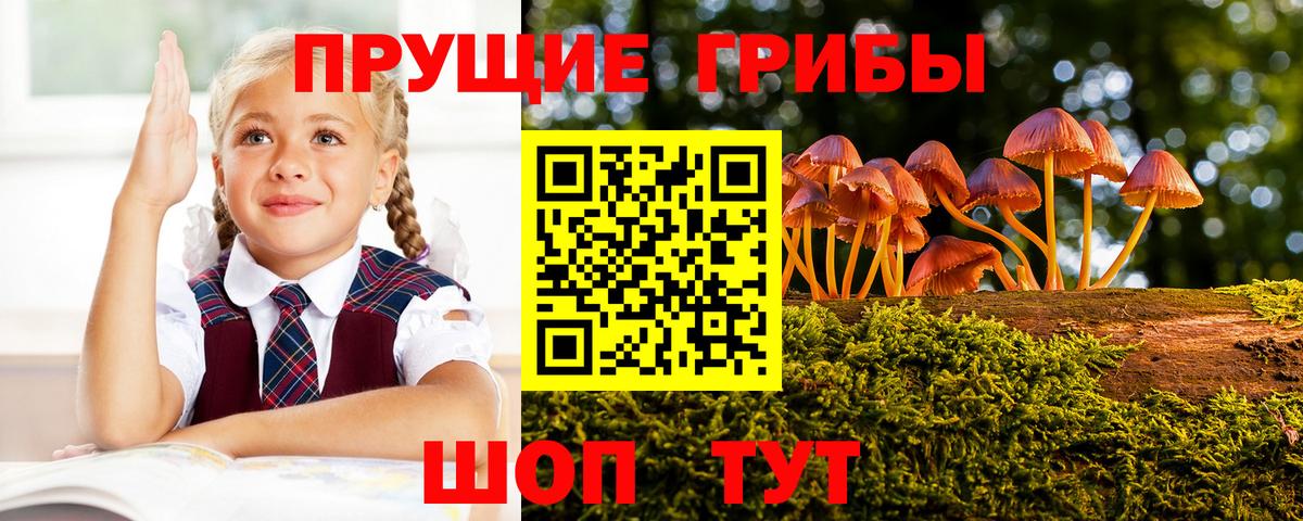 Галлюциногенные грибы ЛСД  Вход с VPN  Усть-Илимск 